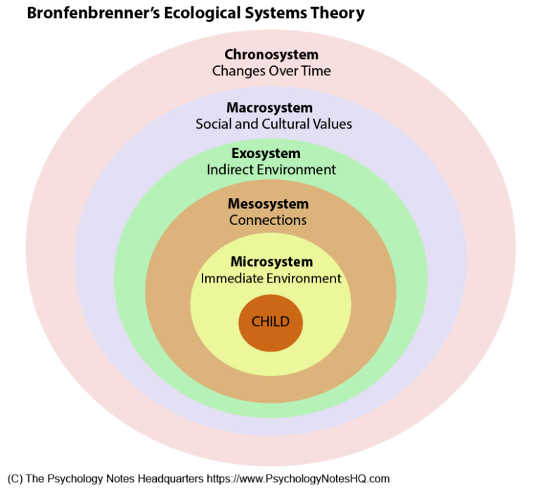 Ecological Systems Key Concepts